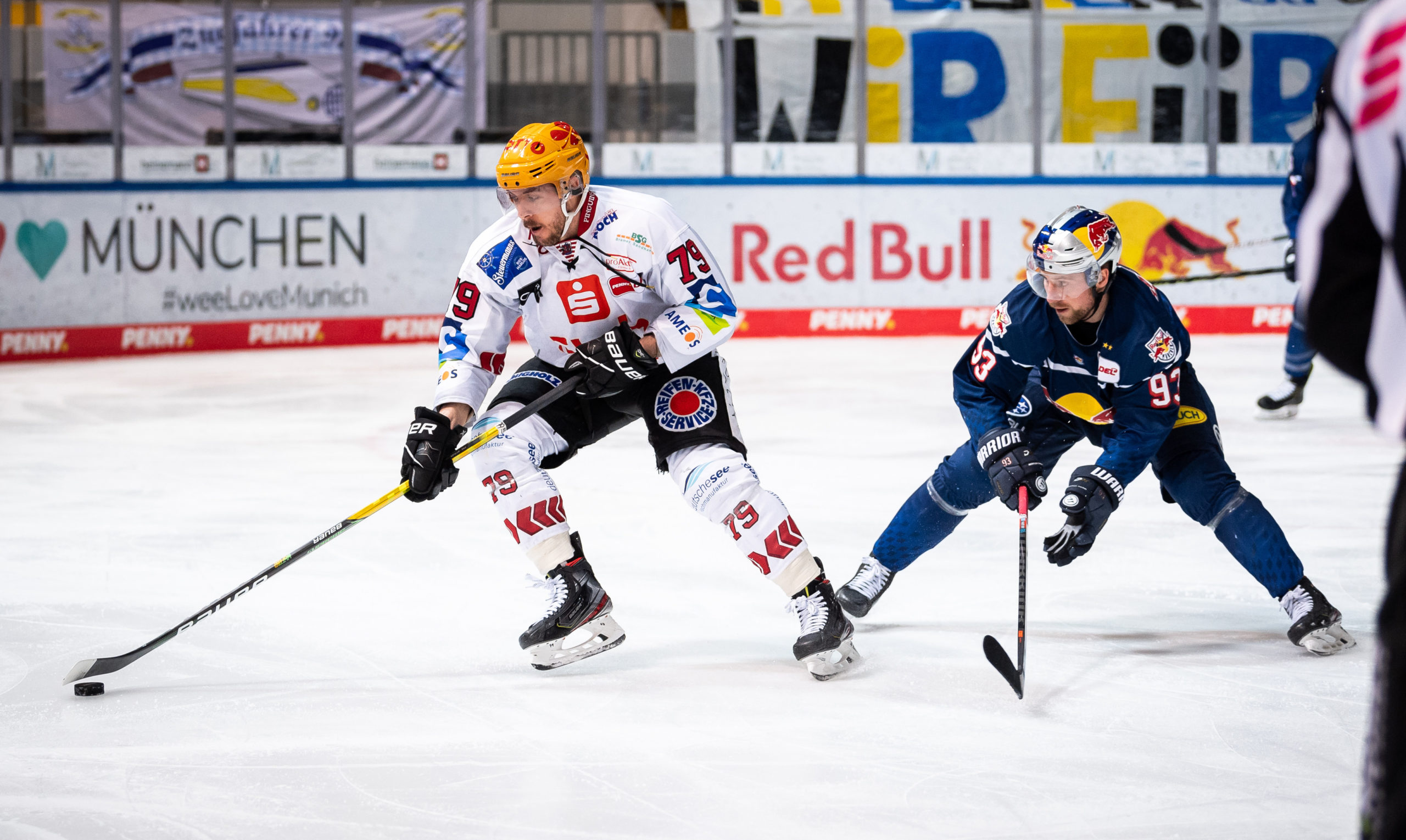 WILD WINGS Nehmen Center Mitch Wahl unter Vertrag