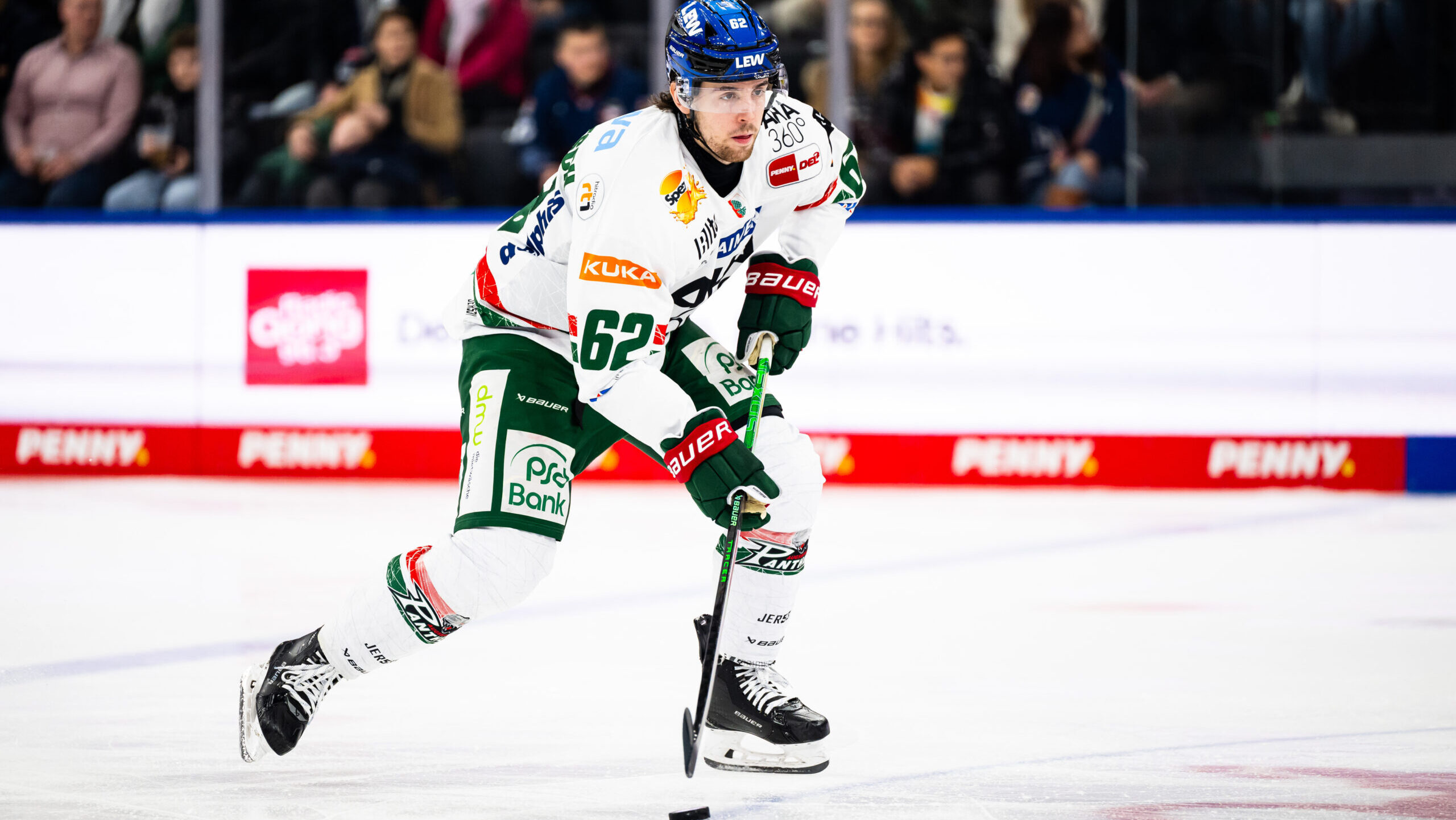 WILD WINGS Defensive bekommt Verstärkung