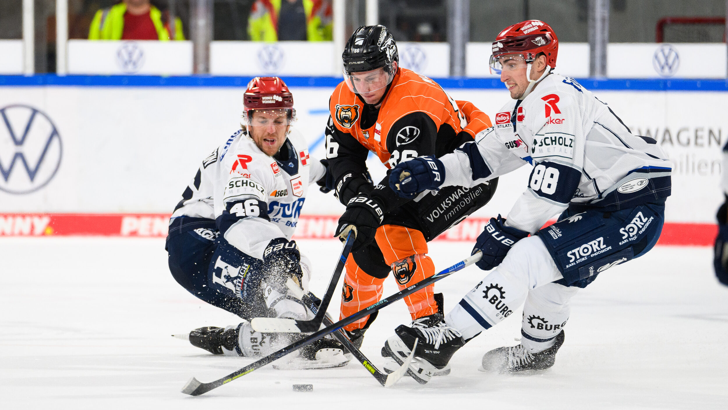 WILD WINGS belohnen sich